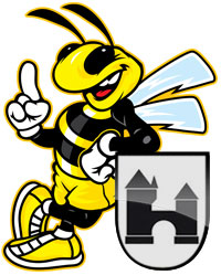 Bee-Aaretal.jpg  